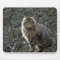Long-hair Tabby Cat Mousepad
