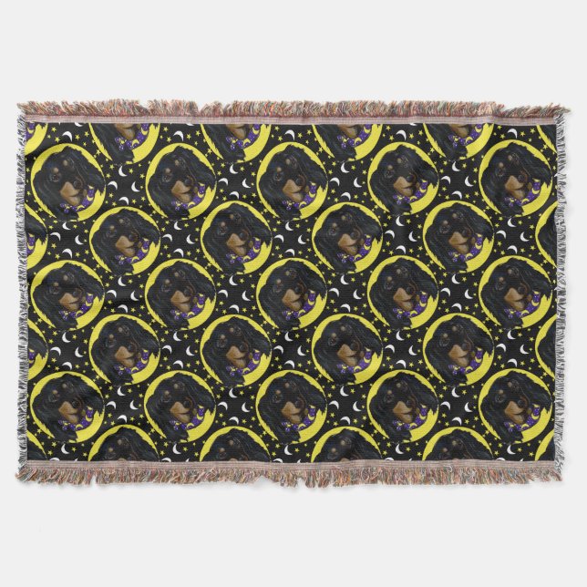 Long Haired Black Dachshund Throw Blanket (Front)