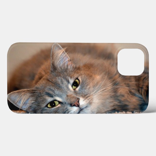 Long Haired Blue Russian Cat by Shirley Taylor Case-Mate iPhone Case (Back (Horizontal))