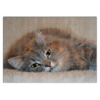 Long Haired Blue Russian Cat by Shirley Taylor