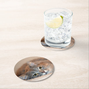 Long Haired Blue Russian Cat by Shirley Taylor Round Paper Coaster