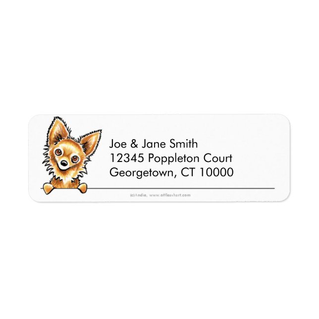 Long Haired Chihuahua Clean and Simple (Front)