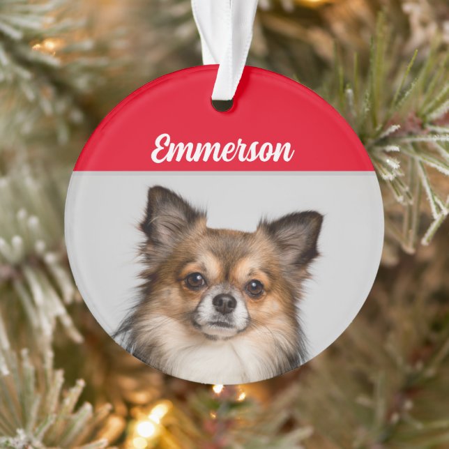 Long Haired Chihuahua Dog with Name and Photo Orna Ornament (Tree)