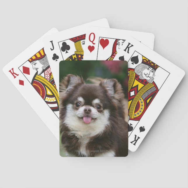 Long Haired Chihuahua Headshot 1 Playing Cards (Back)