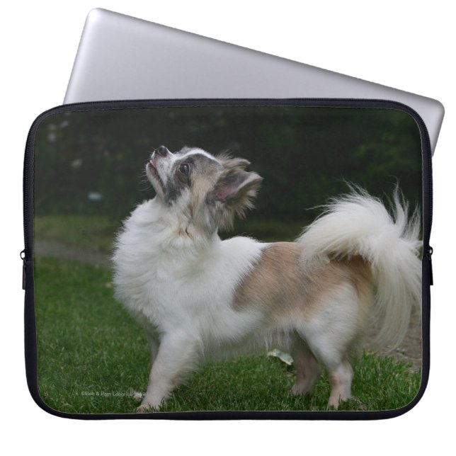 Long Haired Chihuahua Looking at Camera Laptop Sleeve (Front)