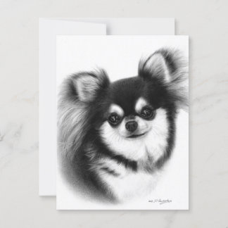 Long-Haired Chihuahua Oil Painting Postcard