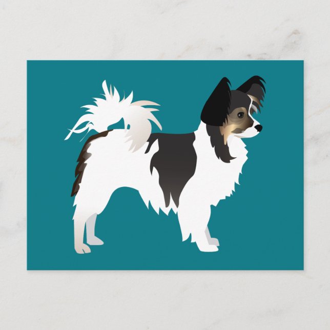 Long-haired Chihuahua or Papillon Basic Design Postcard (Front)