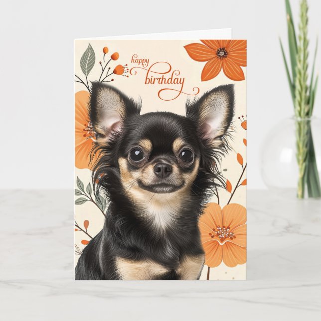 Long Haired Chihuaua Dog Bold Retro Birthday Card (Front)