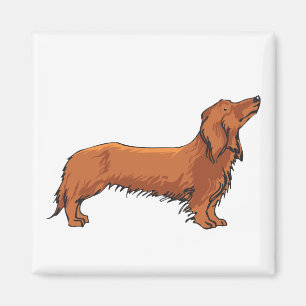 Long Haired Dachshund Magnet