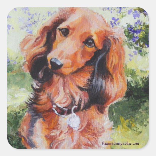 Long Haired Dachshund sticker (Front)