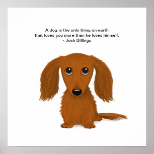 Long Haired Dachshund with Josh Billings Quote Poster