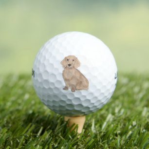 Long Haired English Red Dachshund Golf Balls