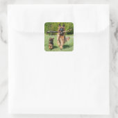 Long Haired Fluffy German Shepherd Dog and Puppy Square Sticker (Bag)