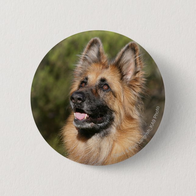 Long Haired German Shepherd 1 6 Cm Round Badge (Front)