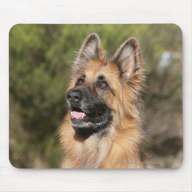 Long Haired German Shepherd 1 Mouse Pad (Front)