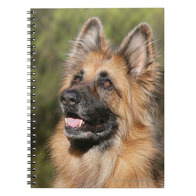Long Haired German Shepherd 1 Spiral Notebook (Front)