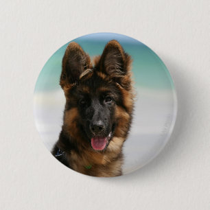 Long Haired German Shepherd Beach 6 Cm Round Badge