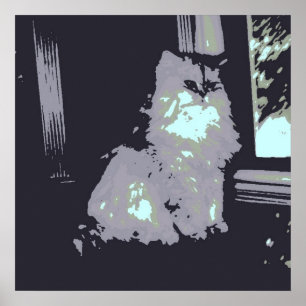 Long-haired Grey Kitty Cat Poster