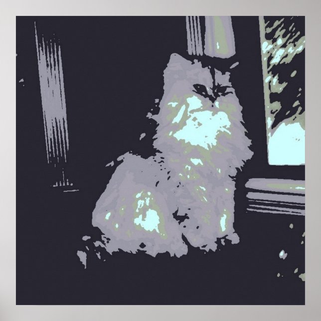 Long-haired Grey Kitty Cat Poster (Front)