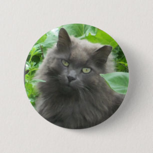 Long Haired Grey Russian Blue Cat 6 Cm Round Badge