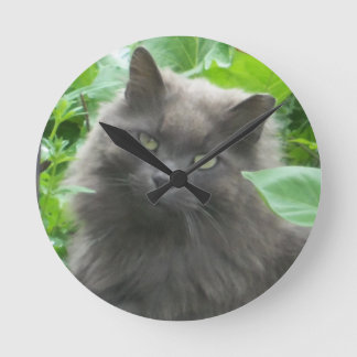 Long Haired Grey Russian Blue Cat Round Clock