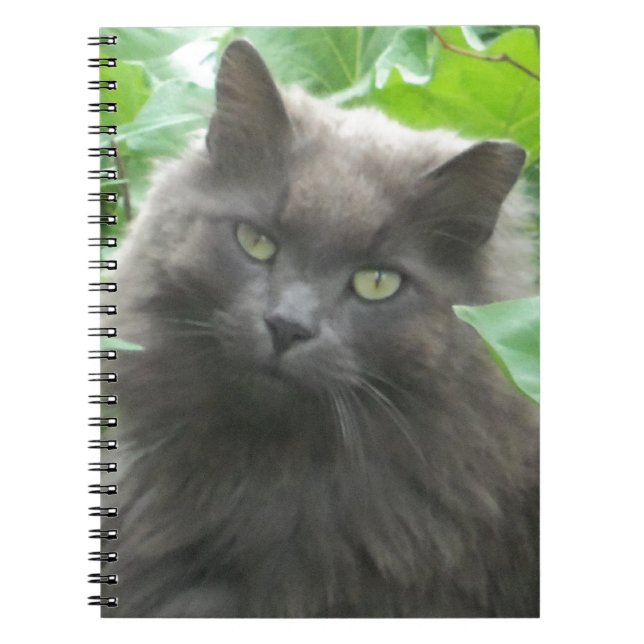 Long Haired Grey Russian Blue Cat Spiral Notebook (Front)