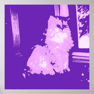 Long-haired Purple Kitty Cat Poster