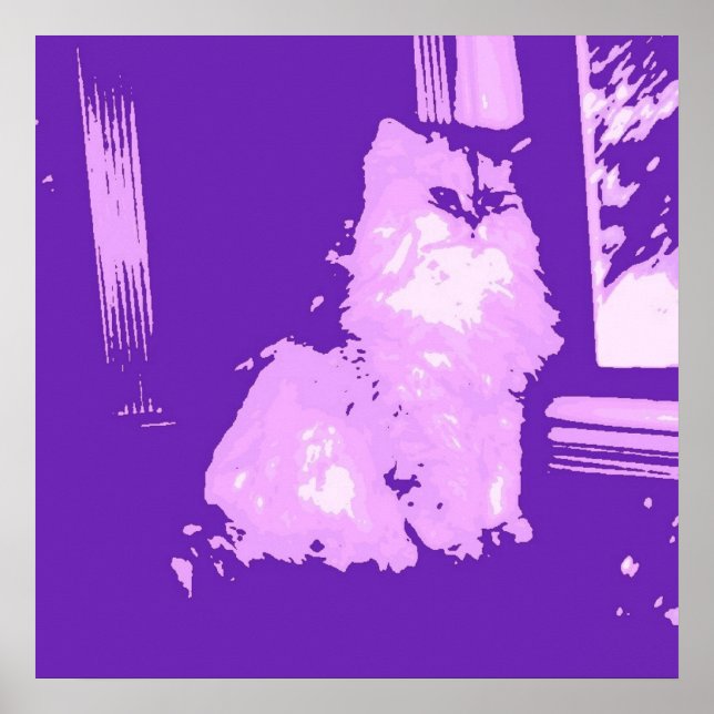 Long-haired Purple Kitty Cat Poster (Front)