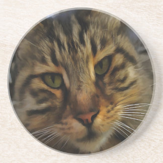 Long Haired Tabby Cat Artistic Pet Portrait v2 Coaster