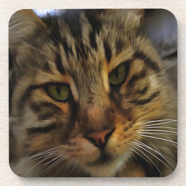 Long Haired Tabby Cat Artistic Pet Portrait v2 Coaster (Front)