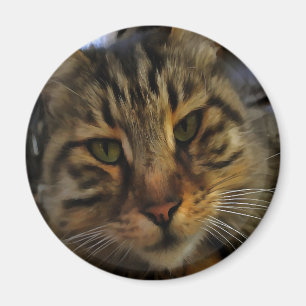 Long Haired Tabby Cat Artistic Pet Portrait v2 Magnet