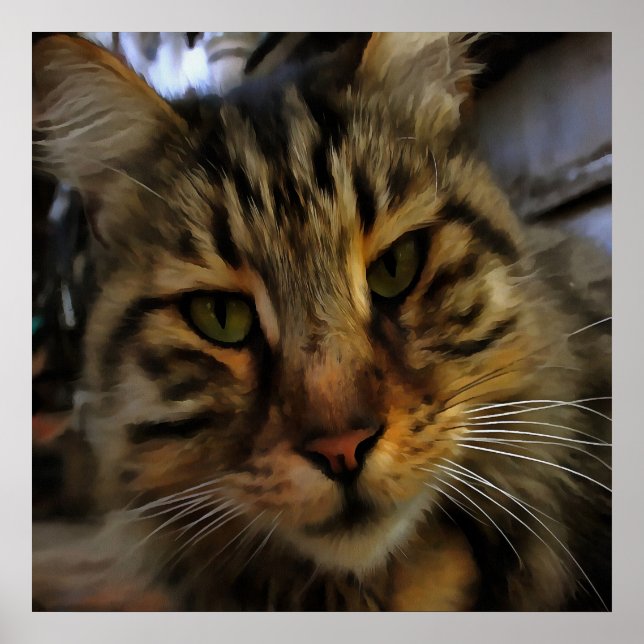 Long Haired Tabby Cat Artistic Pet Portrait v2 Poster (Front)