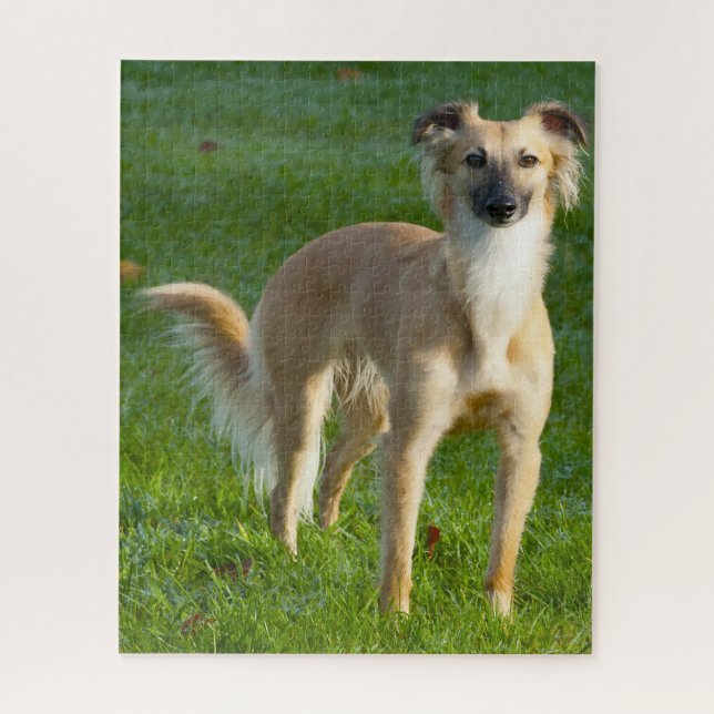 Long haired Whippet Dogs Jigsaws. Jigsaw Puzzle (Vertical)