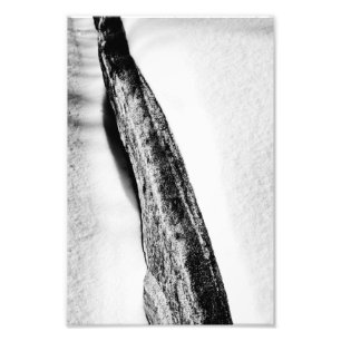 long hard cold lonely photo print