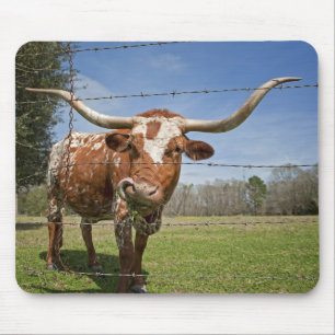 Long Horn Cow Mouse Pad