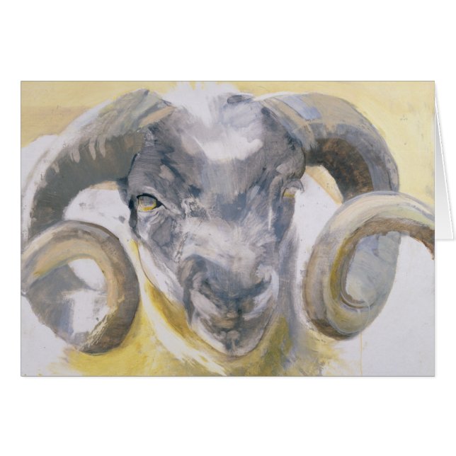 Long Horn Sheep 2 (Front Horizontal)