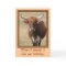 Long-horn Steer Birthday Card