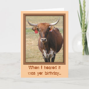 Long-horn Steer Birthday Card