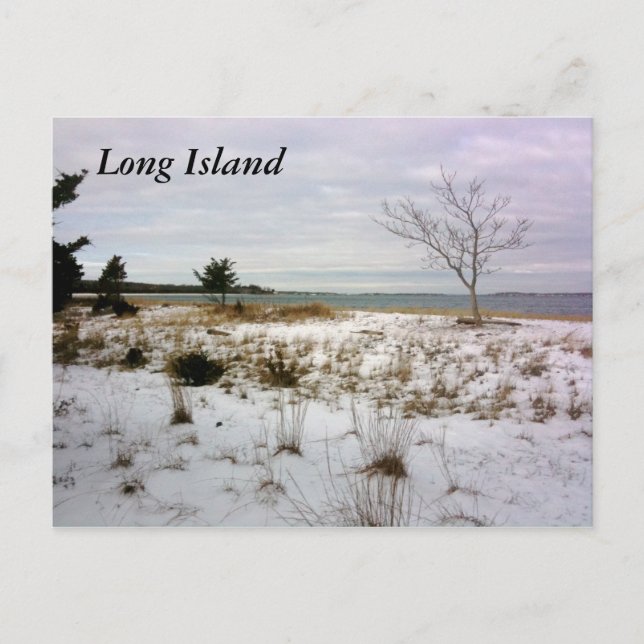 Long Island-Shelter Island Postcard (Front)