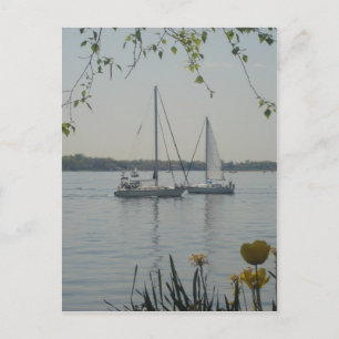 Long Island Sound Postcard