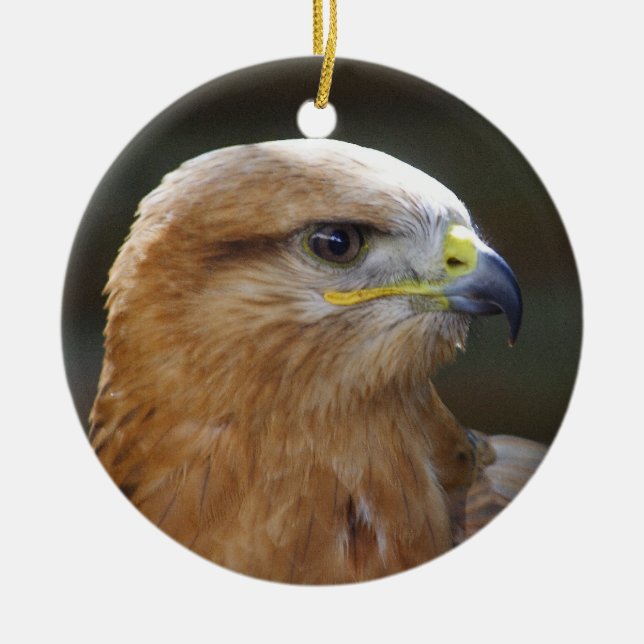 Long-legged Buzzard Ceramic Tree Decoration (Front)
