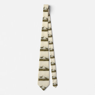 Long-legged Sandpiper - Audubon's Birds of America Tie