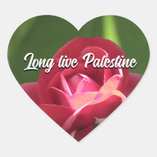 Long live Palestine pink green heart Sticker