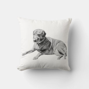 Long Nap, Living-Room Calm Cushion
