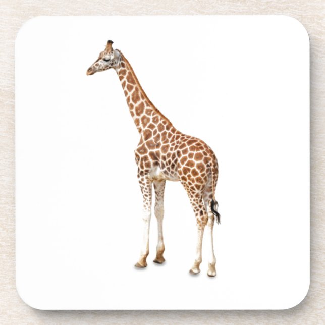 Long Neck Giraffe Coaster (Front)