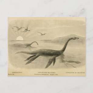 Long Neck Sea Lizard Zoological Sketch Postcard