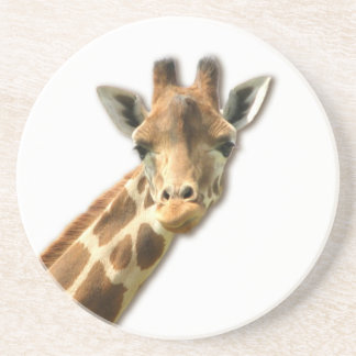 Long Necked Giraffe  Coaster