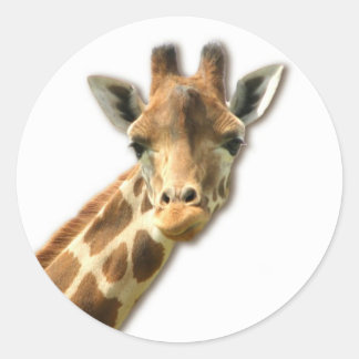 Long Necked Giraffe Sticker