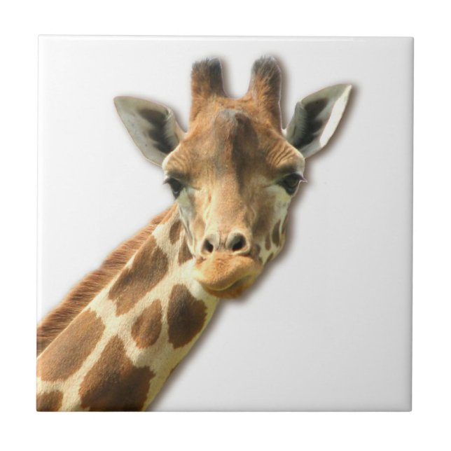 Long Necked Giraffe  Tile (Front)