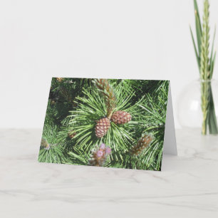 Long-Needled Pine Christmas Card